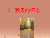 第5课《秋天的怀念》PPT课件5-七年级语文上册统编版