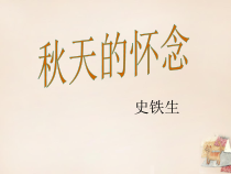 第5课《秋天的怀念》PPT课件7-七年级语文上册统编版