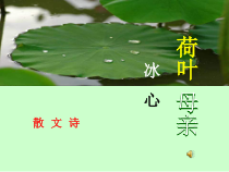 第7课《散文诗两首-荷叶·母亲》PPT课件5-七年级语文上册统编版