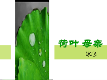 第7课《散文诗两首-荷叶·母亲》PPT课件7-七年级语文上册统编版