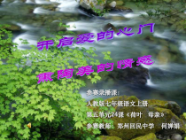第7课《散文诗两首-荷叶·母亲》PPT课件8-七年级语文上册统编版