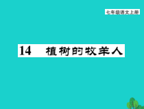 第14课《植树的牧羊人》PPT课件2-七年级语文上册统编版