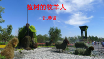 第14课《植树的牧羊人》PPT课件6-七年级语文上册统编版