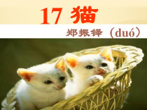 第17课《猫》PPT课件10-七年级语文上册统编版