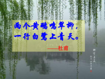 第18课《鸟》PPT课件6-七年级语文上册统编版