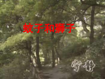 第24课《寓言四则-蚊子和狮子》PPT课件3-七年级语文上册统编版