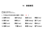 14《驿路梨花》习题课件 (共26页)-七年级语文下册统编版