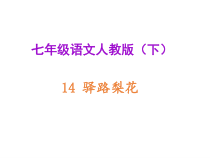 14《驿路梨花》(共22页)（图片版）-七年级语文下册统编版