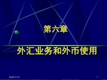 外汇业务和外汇使用2课件