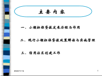 小额担保贷款的发展历程与作用课件
