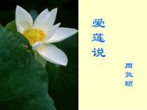 第16课《古文两篇-爱莲说》PPT课件5-七年级语文下册统编版