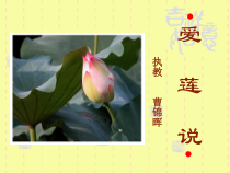 第16课《古文两篇-爱莲说》PPT课件8-七年级语文下册统编版