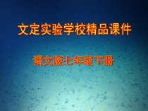 第16课《古文两篇-爱莲说》PPT课件4-七年级语文下册统编版