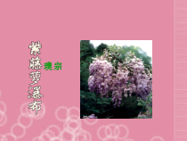 第17课《紫藤萝瀑布》PPT课件8-七年级语文下册统编版
