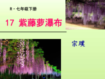 第17课《紫藤萝瀑布》PPT课件9-七年级语文下册统编版