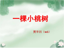 第18课《一棵小桃树》PPT课件5-七年级语文下册统编版