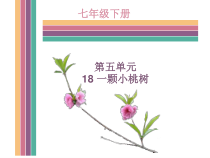 第18课《一棵小桃树》PPT课件7-七年级语文下册统编版