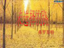 第19课《外国诗两首-未选择的路》PPT课件3-七年级语文下册统编版