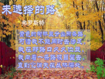 第19课《外国诗两首-未选择的路》PPT课件8-七年级语文下册统编版