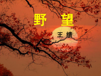 12.1《唐诗五首-野望》ppt课件1（共13页）-八年级语文上册统编版