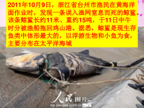第1课《消息二则-我三十万大军胜利南渡长江》PPT课件10-八年级语文上册统编版