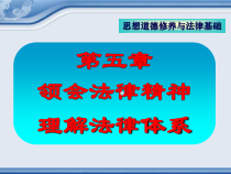 5思想道德修养与法律基础第五章新1课件