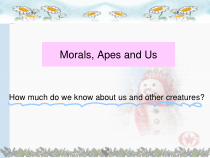 moral人类与动物的道德观比较课件