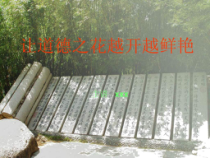 道德讲堂课件.ppt40