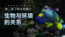 人教版初中生物七年级上册《生物与环境的关系》精品教学课件PPT模板