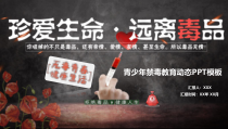 PPT模板：珍爱生命远离毒品动态青少年禁毒专题教育讲座01课件