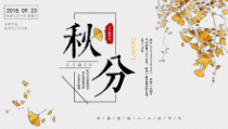 极简风传统二十四节气秋分节气介绍PPT模板课件