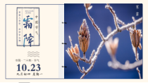 简约风霜降节气介绍PPT模板课件