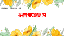 新部编版二年级语文上册拼音期末专项复习课件