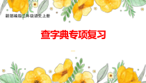 新部编版二年级语文上册查字典专项复习课件