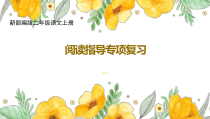 新部编版二年级语文上册阅读指导专项复习课件
