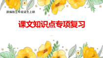 部编版二年级语文上册全册课文知识点专项复习课件