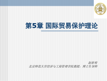 第5部分国际贸易保护理论课件