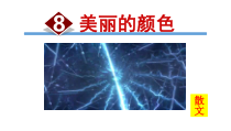 第8课《美丽的颜色》PPT课件5-八年级语文上册统编版