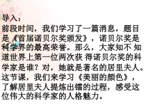 第8课《美丽的颜色》PPT课件10-八年级语文上册统编版