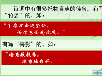 第14课《白杨礼赞》PPT课件4-八年级语文上册统编版