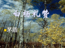 第14课《白杨礼赞》PPT课件6-八年级语文上册统编版