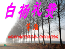 第14课《白杨礼赞》PPT课件9-八年级语文上册统编版
