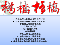 第17课《中国石拱桥》PPT课件7-八年级语文上册统编版