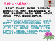 第17课《中国石拱桥》PPT课件9-八年级语文上册统编版