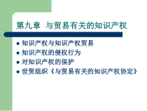 与贸易有关的知识产权课件
