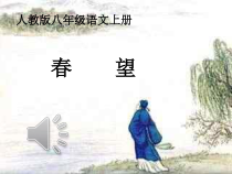 第24课《诗词五首-春望》PPT课件5-八年级语文上册统编版