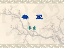 第24课《诗词五首-春望》PPT课件6-八年级语文上册统编版