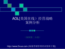 AOL经营战略案例分析课件