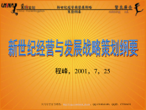 xx经营与发展战略策划纲要课件