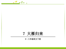 部编人教版语文八下第7课《大雁归来》ppt课件